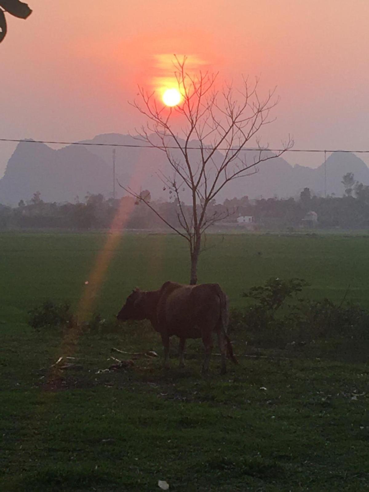 Palafita Bungalow Phong Nha Buitenkant foto