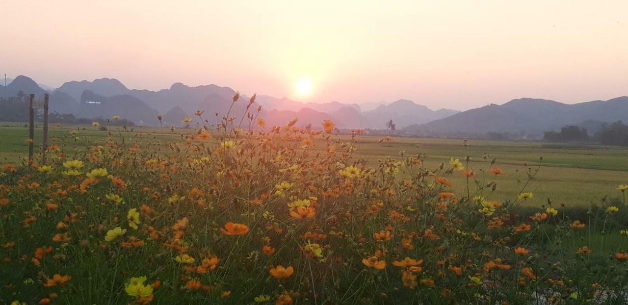 Palafita Bungalow Phong Nha Buitenkant foto