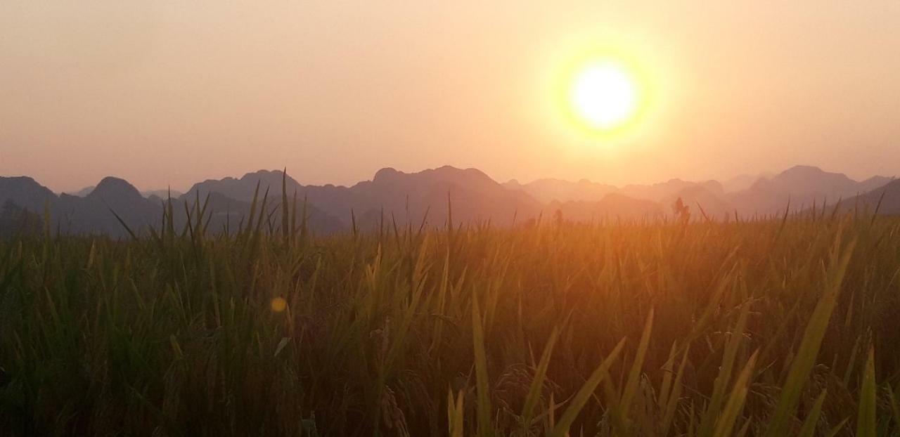 Palafita Bungalow Phong Nha Buitenkant foto